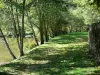 Hérisson - Walk along River Aumance (trees along the water)