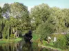 Hortillonnages de Amiens - Jardines con árboles por el canal (de agua)