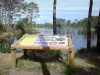 Hostens的部门领域 - 绿色环路的解释小组和树木环绕的湖泊;在Landes de Gascogne地区自然公园