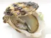 Les huîtres de Gruissan et de Leucate - Guide gastronomie, vacances & week-end dans l'Aude