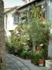 Inland countryside - In Aspremont, narrow street decorated with plants and flowers