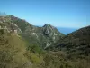 Inland countryside - Mountains covered with forests with the sea far off