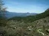 Inland countryside - Mountains and forests