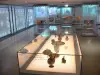 Institut du monde arabe - Musée de l'IMA et ses pièces de collection