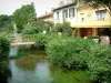 L'Isle-sur-la-Sorgue - La-Sorgue (río), arbustos, casas y tienda de antigüedades