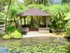 Jardín del Balata - Hut en el borde de los estanques de peces y palmeras del Jardín Botánico; en las alturas de Fort-de-France
