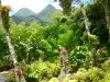 Jardín del Balata - Jardín Botánico y flora tropical con vistas a la Pitons Carbet