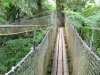 Jardín del Balata - Dé un paseo por los árboles en puentes colgantes