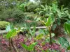 Jardín del Balata - Flora tropical del Jardín Botánico