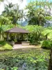 Jardín del Balata - Hut en el borde de los estanques de peces y palmeras del Jardín Botánico