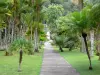 Jardín del Balata - Royal palmeras calzada