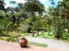 Jardín del Balata - Vista del jardín tropical desde la terraza de la Casa Criolla