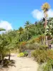 Jardín botánico de Carbet - Hacienda Latouche - Paseo en el jardín botánico