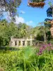 Jardín botánico de Carbet - Hacienda Latouche - Las ruinas de la mansión en una zona verde