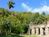 Jardin botanique du Carbet - Habitation Latouche - Ruins of the old sugar plantation Anse Latouche in a green; in the town of Carbet