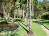 Jardin botanique du Carbet - Habitation Latouche - Ornamental garden lake Captain Latouche