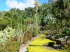 Jardin botanique du Carbet - Habitation Latouche - Cacti and other plants of the Botanical Garden