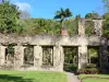 Jardin botanique du Carbet - Habitation Latouche - Ruins of the mansion of the former sugar plantation