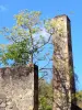 Jardin botanique du Carbet - Habitation Latouche - Chimney of the old distillery