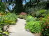 Jardin botanique de Deshaies - Allée du parc floral