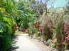 Jardin botanique de Deshaies - Allée des orchidées