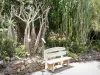 Jardin botanique de Deshaies - Banc en bois dans l'allée des cactées