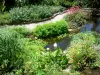 Jardin botanique de Deshaies - Bassin et plantes du mur d'eau végétalisé