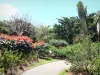 Jardin botanique de Deshaies - Allée du parc floral bordée de végétaux