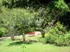 Jardin botanique de Deshaies - Arbres du parc botanique