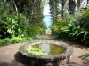 Jardin botanique de la Réunion - Pequeña piscina de agua en un área verde