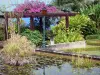 Jardin botanique de la Réunion - Estanque con lirios de agua y plantas de campo
