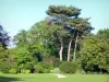 Jardín del Pré-Catelan - Césped y árboles del jardín