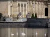 Jardines del castillo de Fontainebleau - Cisnes en el estanque de las carpas y las estatuas de la corte de la Fuente