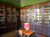 Kasteel van Ancy-le-Franc - Interieur van het renaissancepaleis: bibliotheek