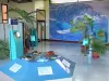 Kélonia, observatorio de tortugas marinas - Espacio del museo: Sala Futuro