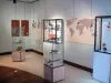 Kélonia, observatorio de tortugas marinas - Espacio del museo: Sala Confrontación