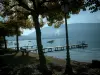 Lac d'Annecy - Banc et arbres sur la rive avec vue sur le lac et ses pontons en bois, les bateaux, les bouées et les collines