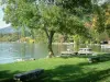 Lac d'Annecy - Pelouse avec des bancs, arbre au bord du lac et forêt en automne