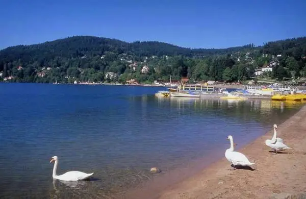 Le lac de Gérardmer - Guide Tourisme & Vacances