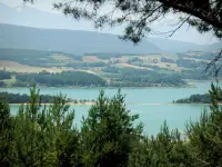 Le lac de Montbel - Guide Tourisme & Vacances