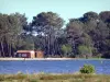Lacanau lake - Water, sailing club and pine forest 