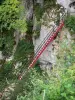 Ladders of Death - Iron ladder, cliff (rock face) and shrubs; in the Doubs gorges