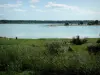Lago Der-Chantecoq - Juncos, corpo de água (lago artificial), bancos, árvores