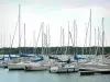 Lago de Der-Chantecoq - Barcos de la marina de Nemours