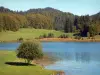 Lago Genin - Lago, prados, árboles y bosques en las montañas del Jura (Haut-Bugey), el Charix común, y de Échallon Oyonnax