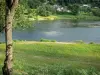 Lago de Pannecière - Árbol en un prado florido, lago artificial (lago-embalse-Pannecière Fairlead), y las casas en el Parque Natural Regional de Morvan