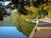 Lago Pavin - Desde la costa, punto de vista de los árboles (bosque) se refleja en las aguas del lago en el Parque Natural Regional de los Volcanes de Auvernia en el Macizo del Sancy (Montes Dore)