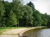 Lago de los Settons - Arbolada playa y del lago, en el Parque Natural Regional de Morvan