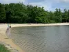 Lago de Sillé - Sillé Beach, en la ciudad de Sillé-le-Guillaume, en el Parque Natural Regional de Normandía-Maine lago, playa de arena y árboles forestales Sillé