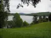 Lago de Vassivière - Pradera, árboles, lago artificial y colinas boscosas